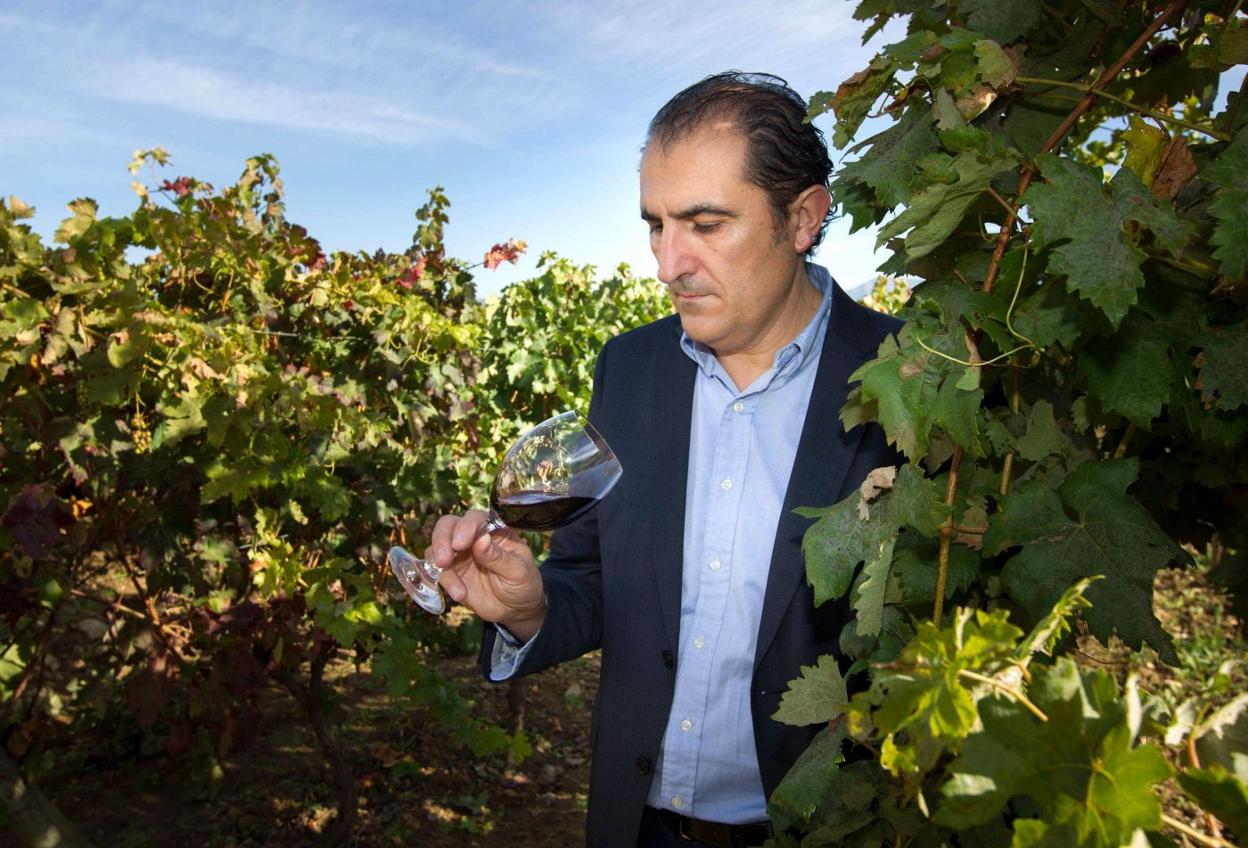 Rodolfo Bastida, director técnico y director general de Ramón Bilbao, recogerá el próximo lunes el premio en Madrid. Manzanares