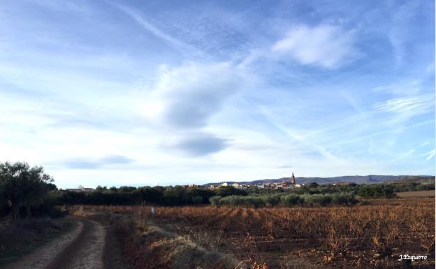 Imagen principal - Viñedos y olivares entre El Villar y Tudelilla, imagen de esta última localidad y camino en el carrascal. 