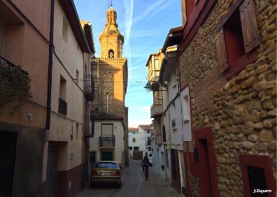 Imagen secundaria 1 - Viñedos y olivares entre El Villar y Tudelilla, imagen de esta última localidad y camino en el carrascal. 