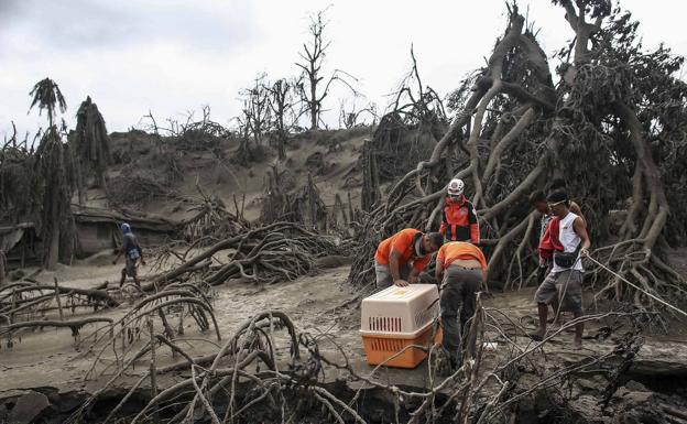 Los vecinos y los equipos de rescate recogen los aninales de los evacuados.