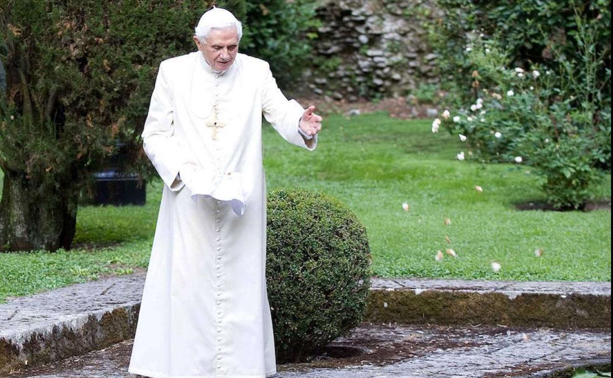 Benedicto XVI en los jardines de Castel Gandolfo.