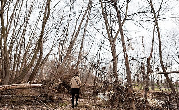 El parque del Iregua, según el Ayuntamiento de Logroño, es el que registra más desperfectos tras la última crecida y el último temporal.