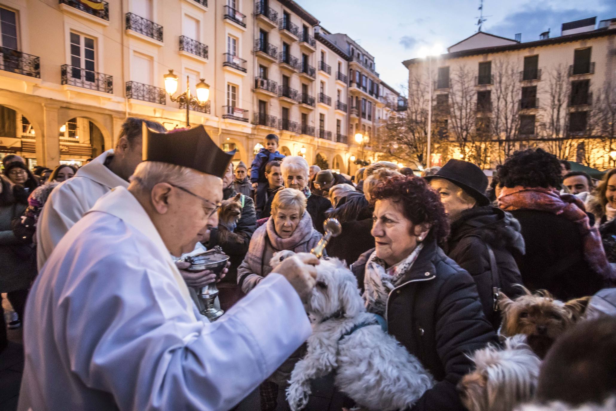 Bendición de los animales en Logroño en el día de San Antón