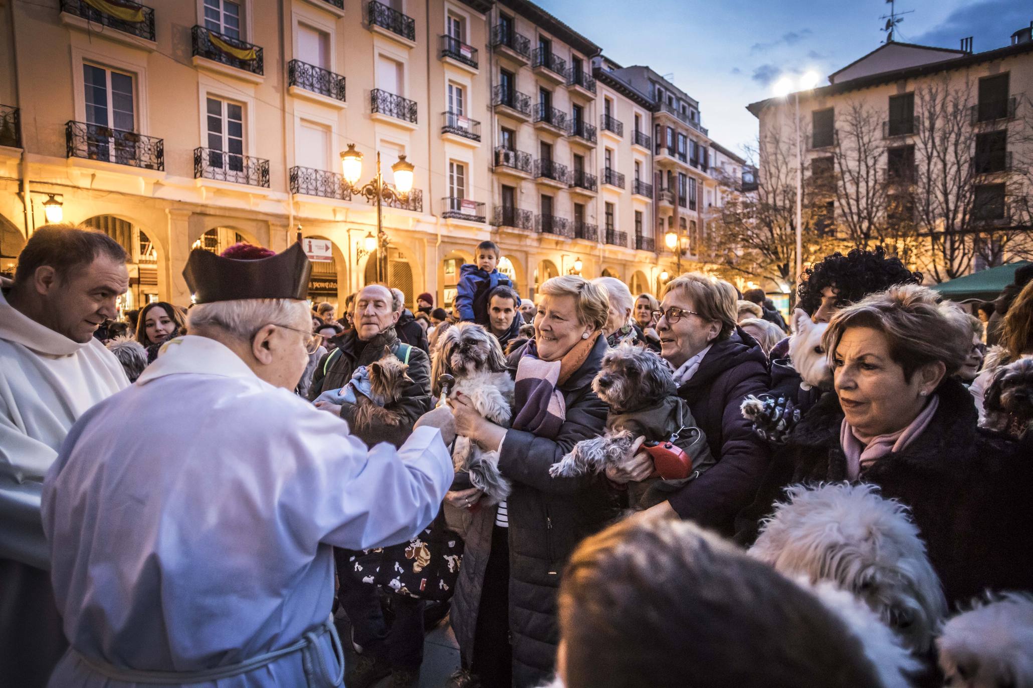 Bendición de los animales en Logroño en el día de San Antón