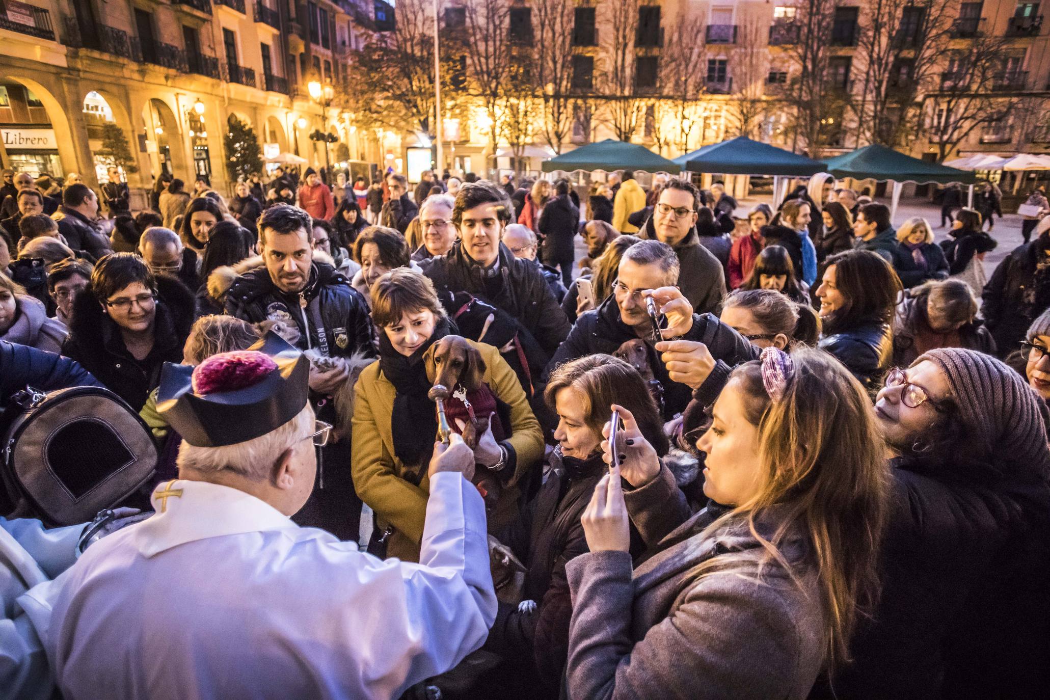 Bendición de los animales en Logroño en el día de San Antón