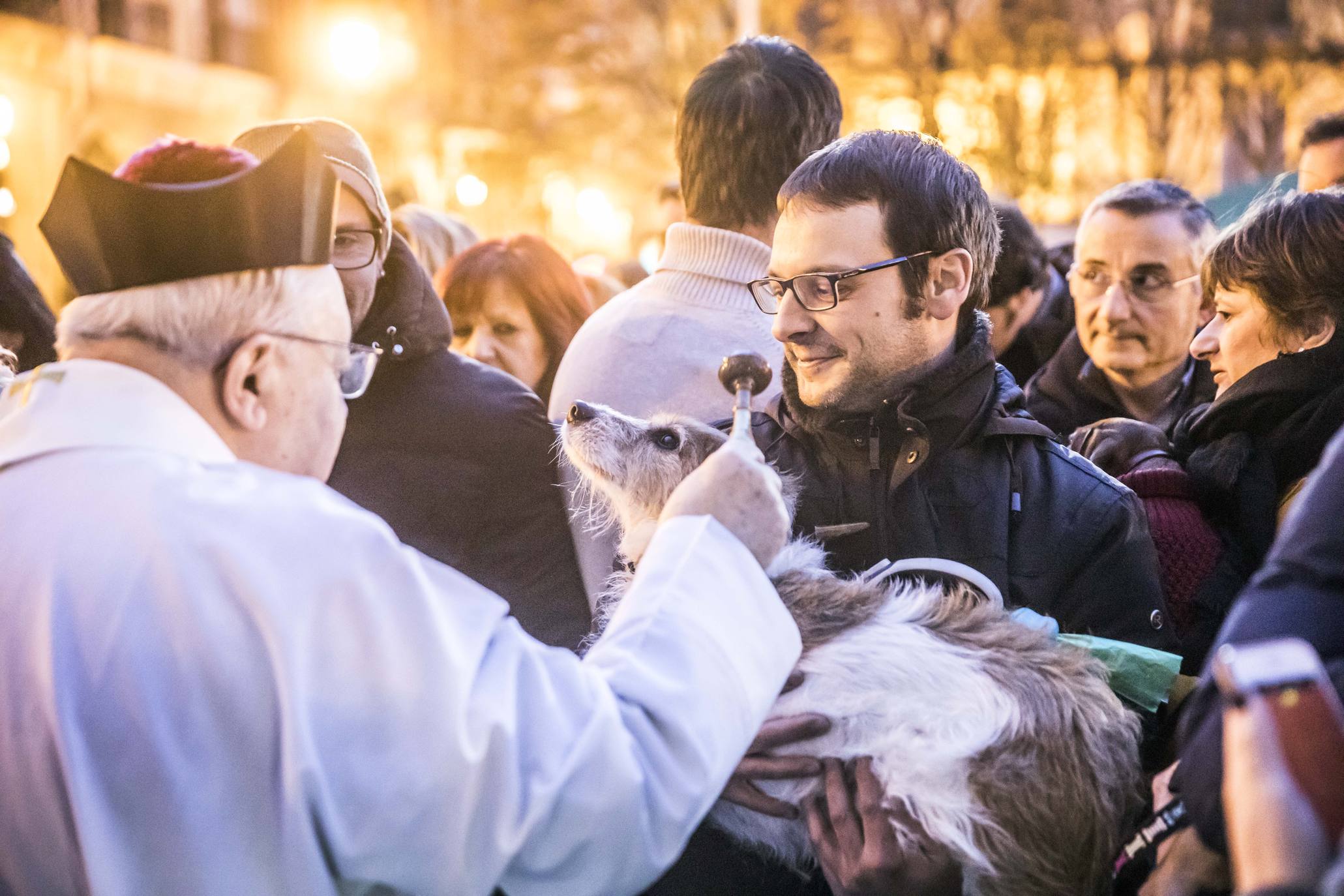 Bendición de los animales en Logroño en el día de San Antón