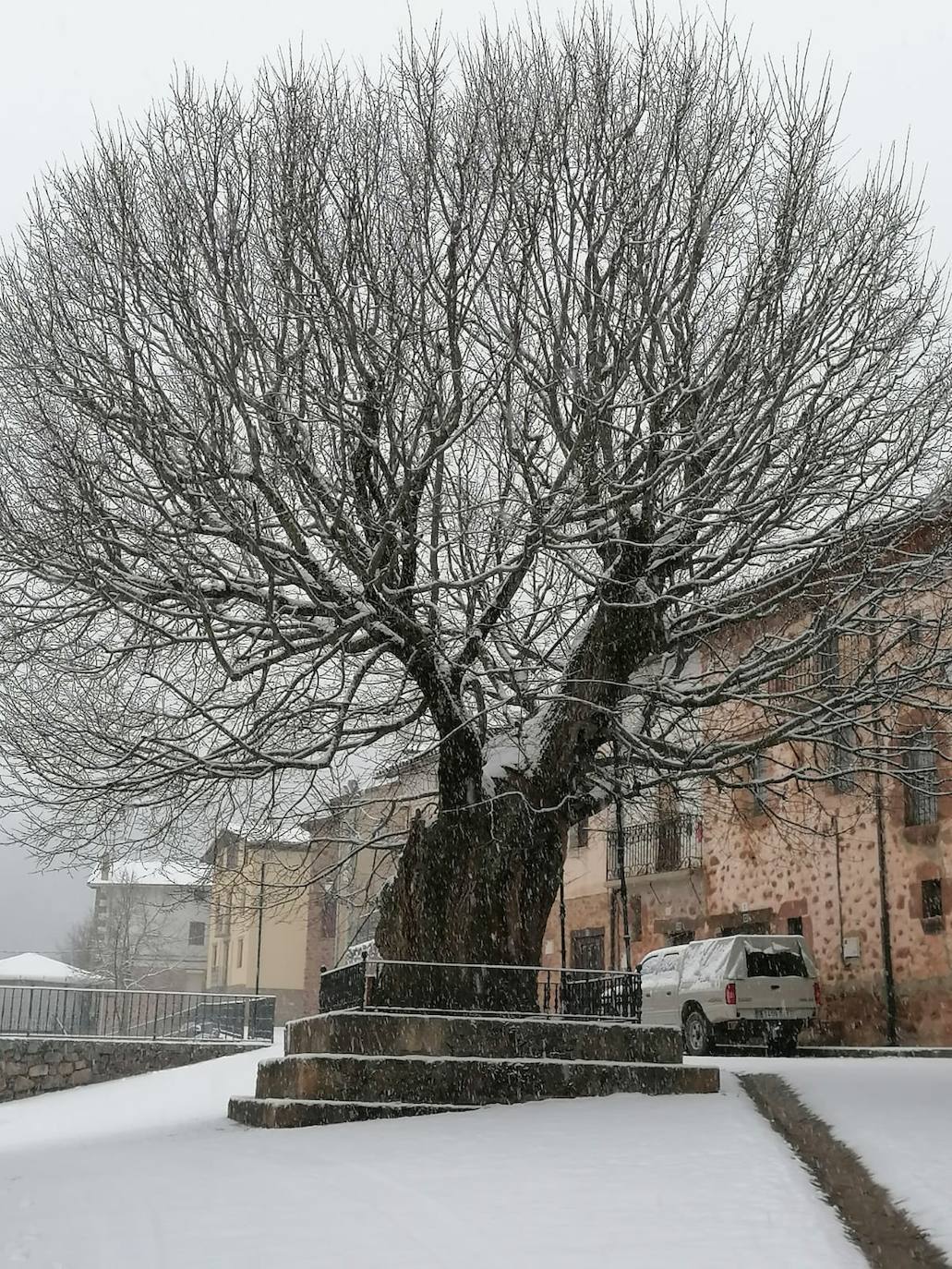 Tal y como anunció ayer la Aemet, los riojanos somos testigos hoy de la alerta amarilla por nieve