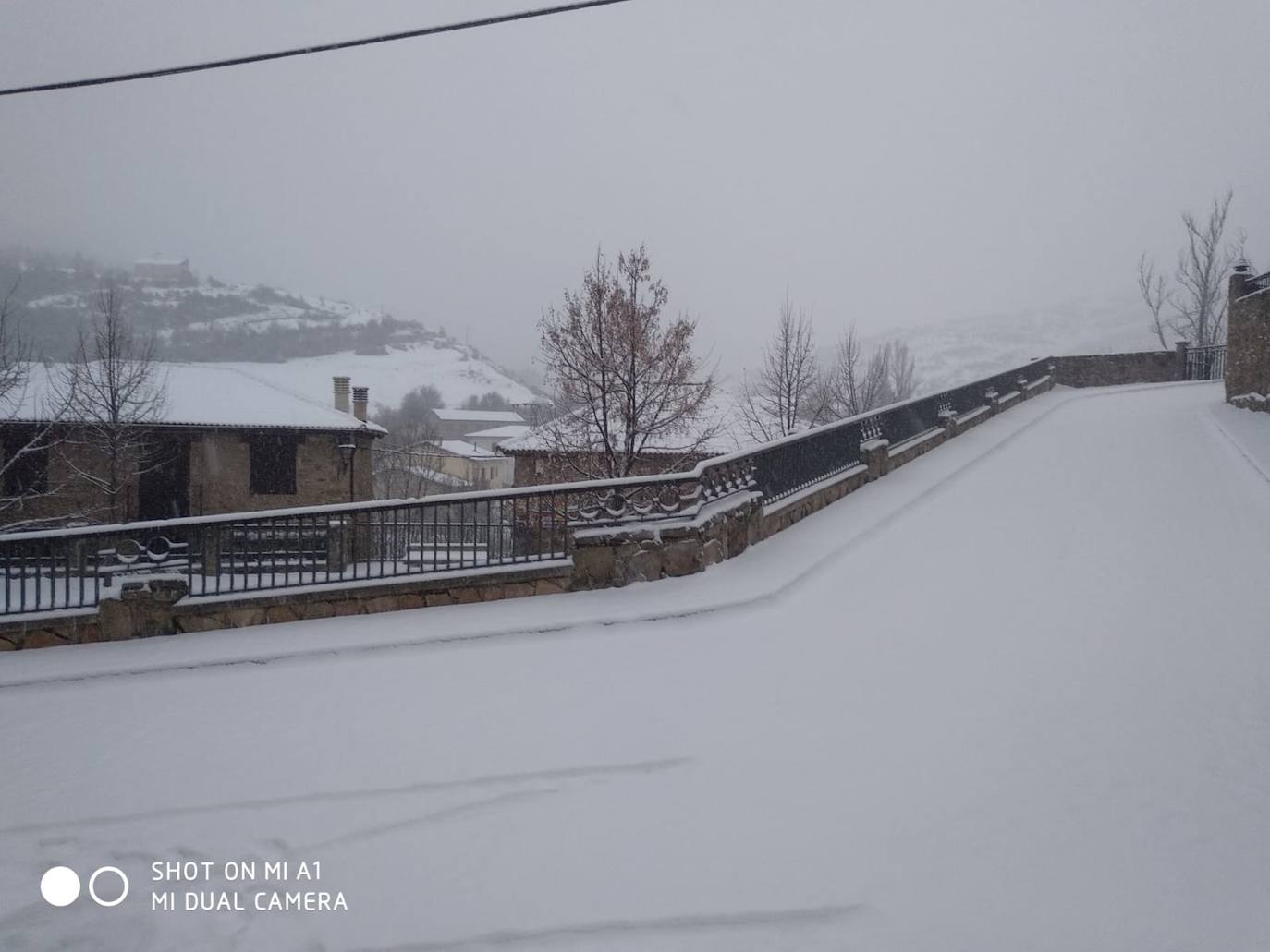 Tal y como anunció ayer la Aemet, los riojanos somos testigos hoy de la alerta amarilla por nieve