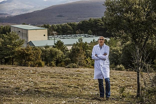 Raúl Portero, director de la planta de Monte Nevado en El Rasillo, que se ve al fondo, sumergida entre los árboles y las montañas. 