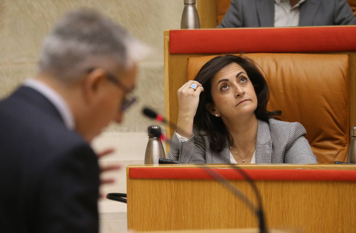 Fotos: Pleno del Parlamento de La Rioja (06/02/20)