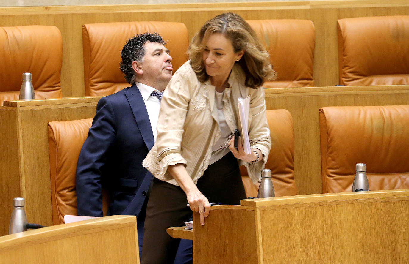 Fotos: Pleno del Parlamento de La Rioja (06/02/20)