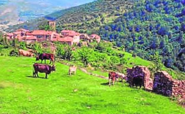 Santa María, aldea de San Román. 