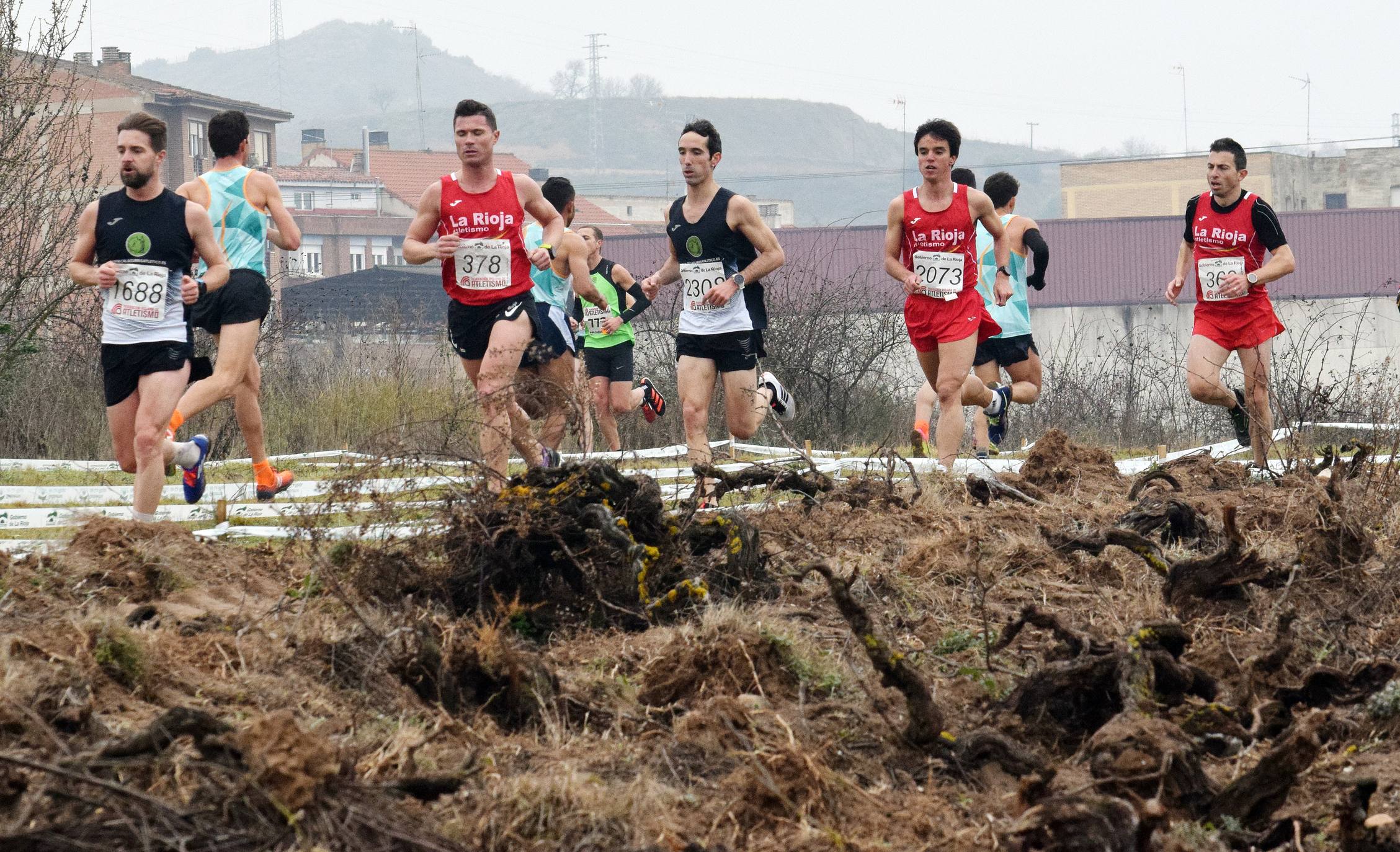 Fotos: El Campeonato Autonómico de campo a través, en imágenes