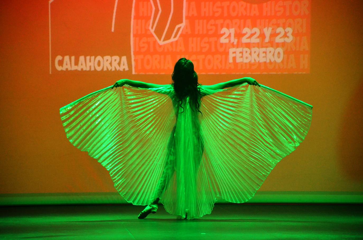 Fotos: Pregón del Carnaval en Calahorra