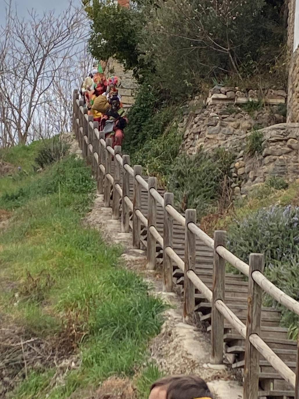 Enciso celebra su carnaval tradicional