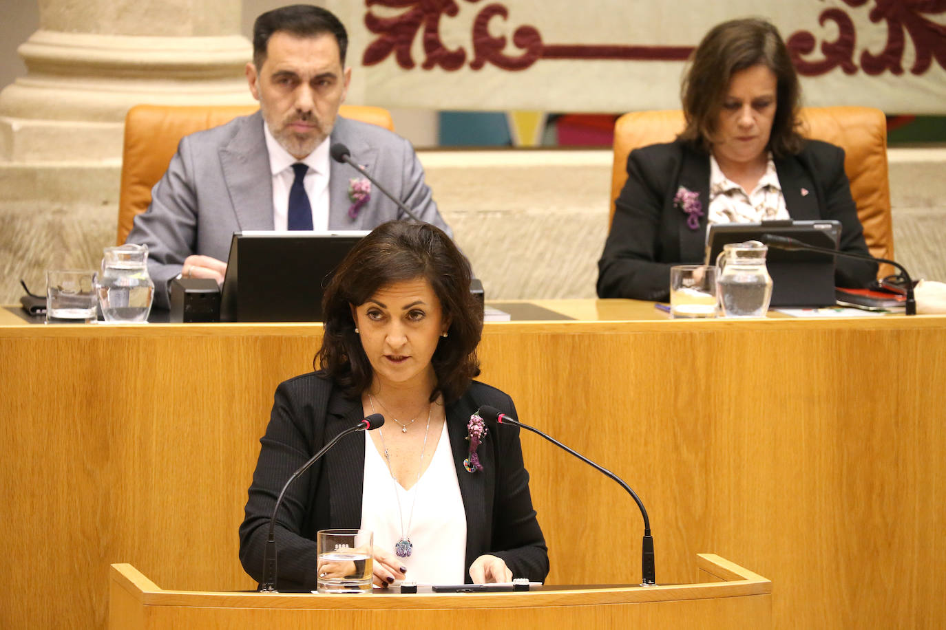 Fotos: Pleno del Parlamento riojano (05/03/20)