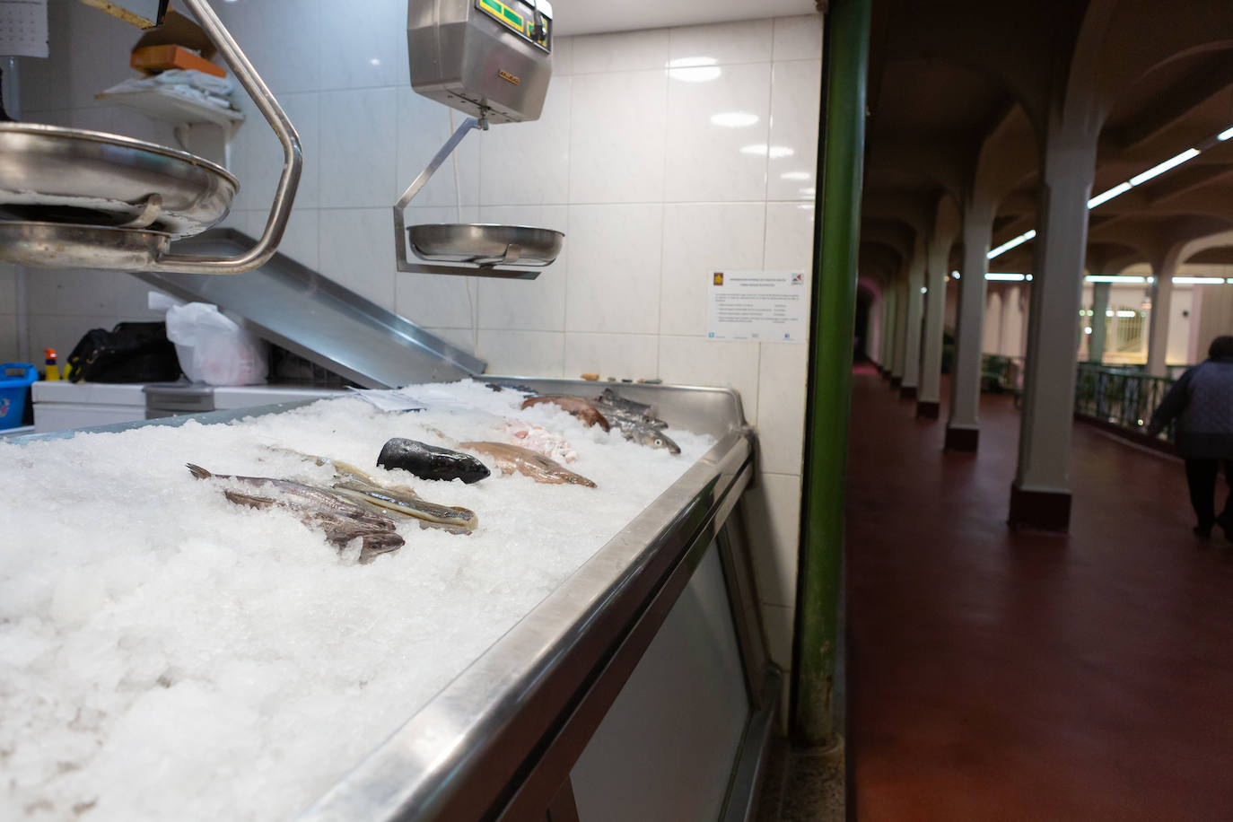 Fotos: Sábado atípico en Logroño por el coronavirus (I)