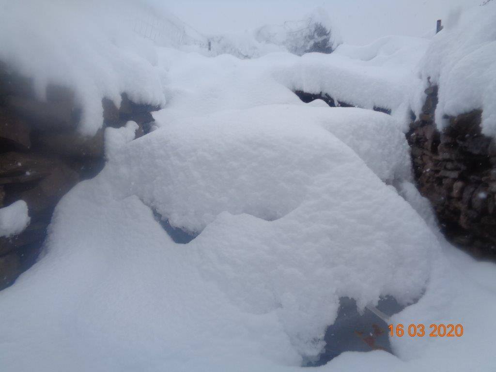 Fotos: La magia blanca de la nieve en El Collado