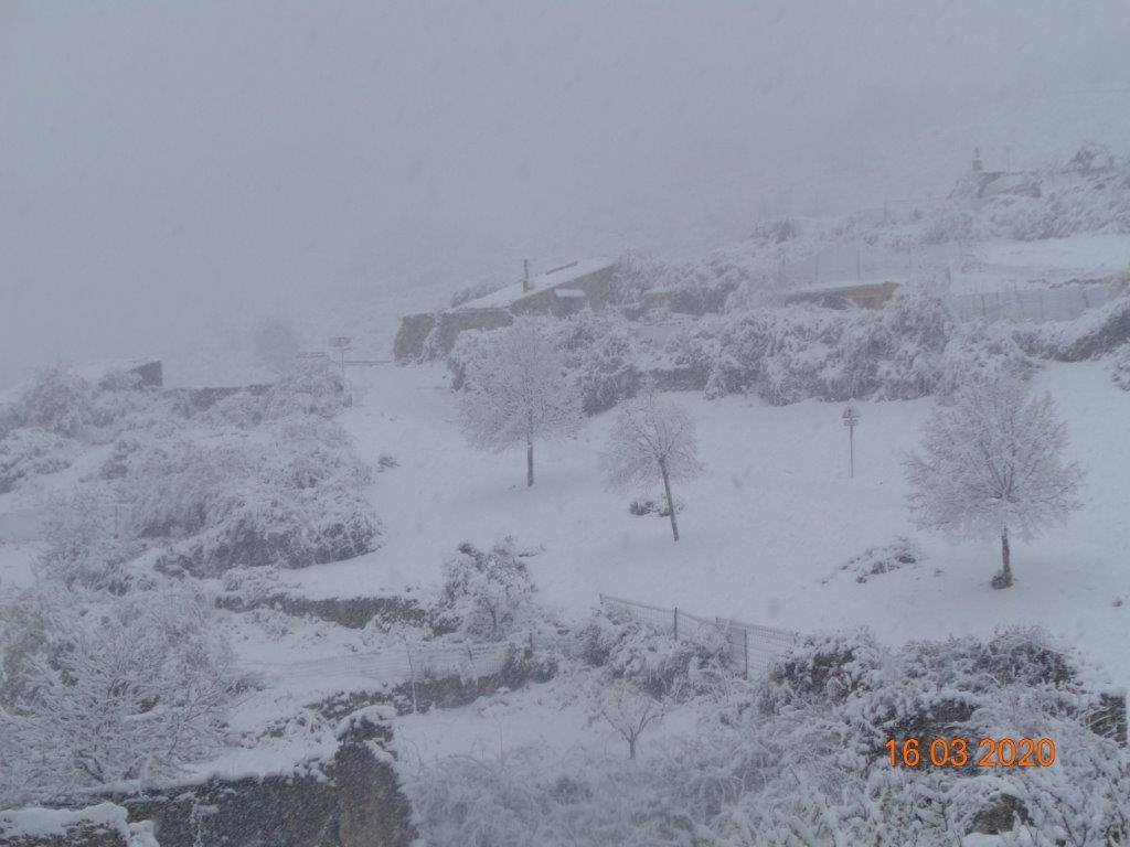 Fotos: La magia blanca de la nieve en El Collado