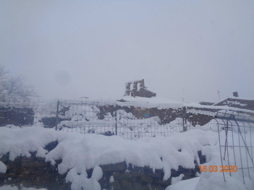 Fotos: La magia blanca de la nieve en El Collado