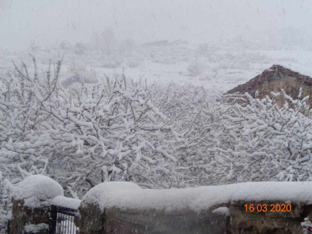 Fotos: La magia blanca de la nieve en El Collado