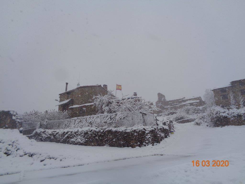 Fotos: La magia blanca de la nieve en El Collado