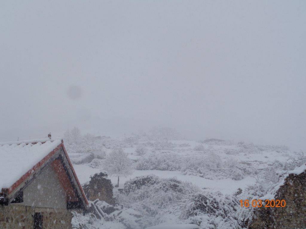 Fotos: La magia blanca de la nieve en El Collado