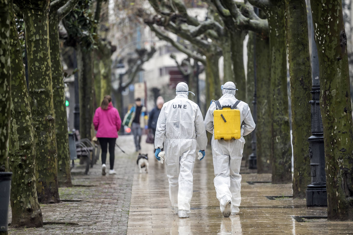 Fotos: La limpieza de la UME en Logroño