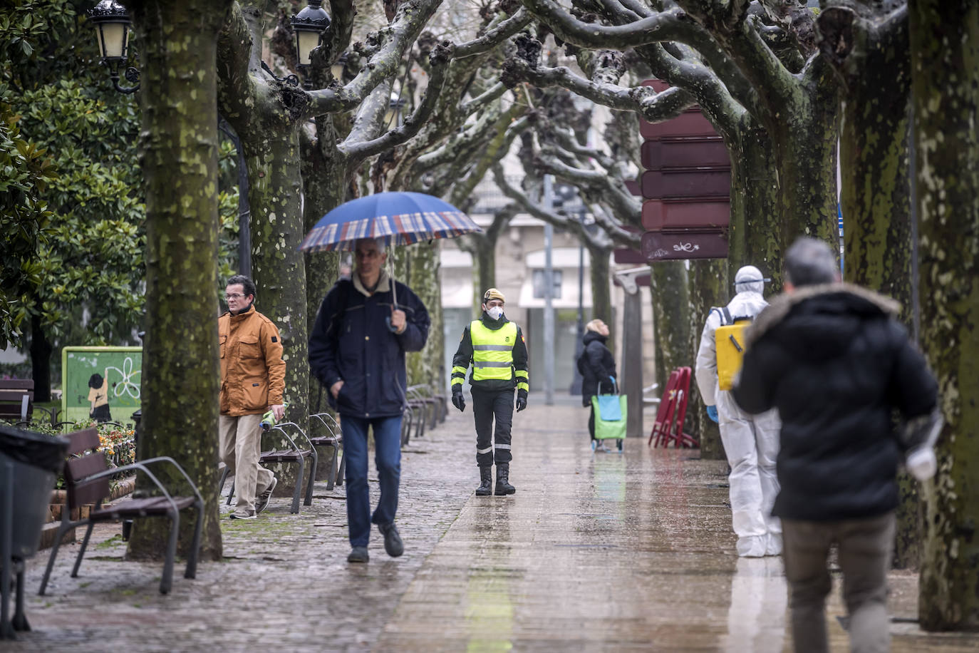 Fotos: La limpieza de la UME en Logroño