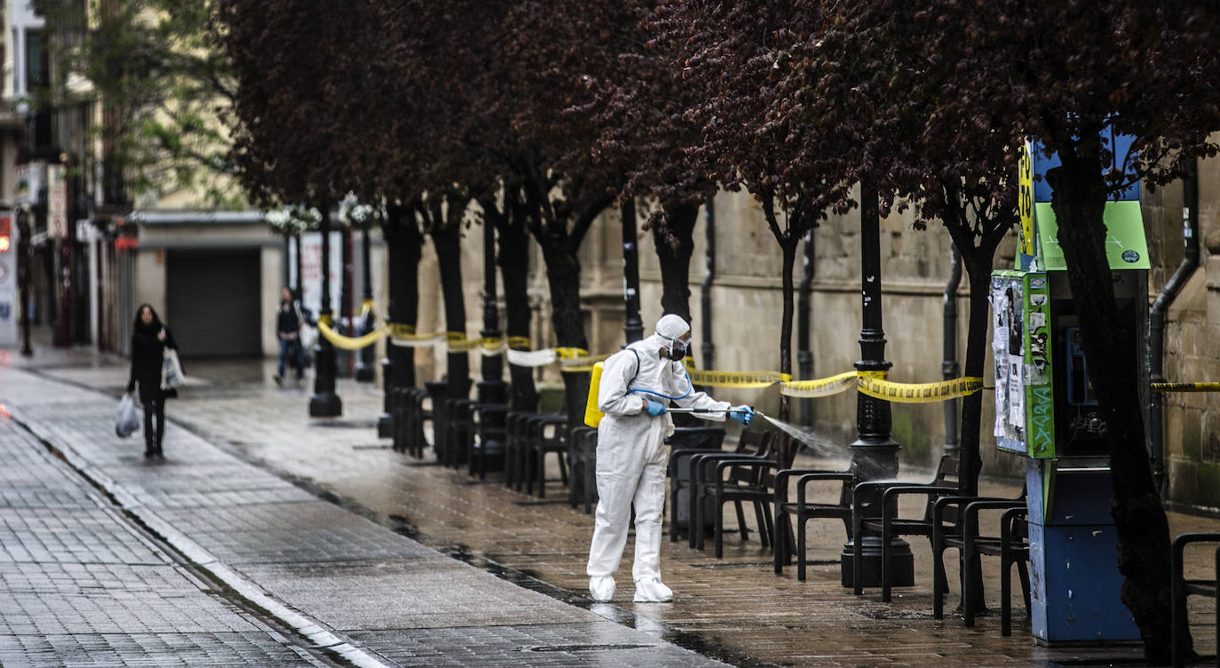 Fotos: La limpieza de la UME en Logroño