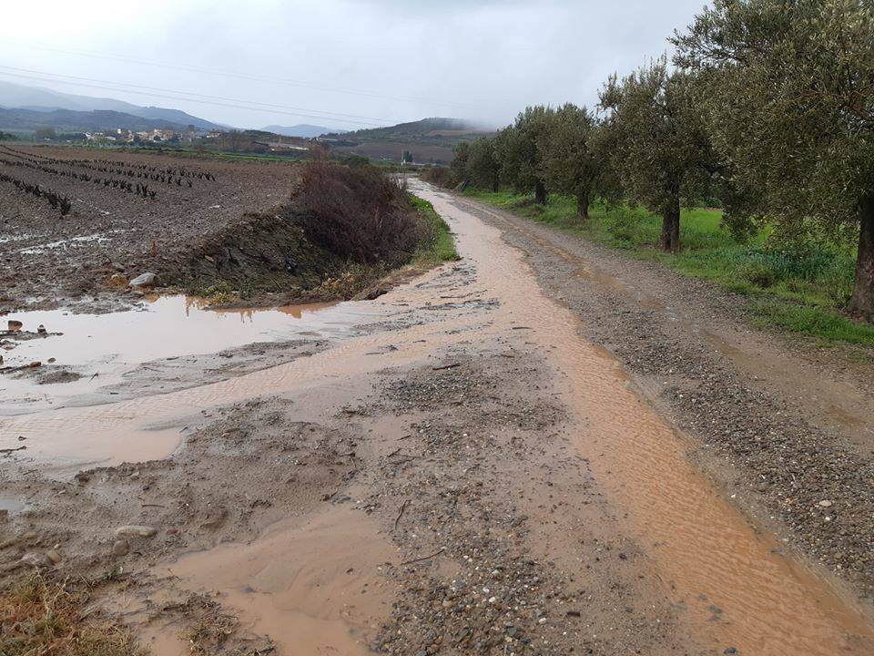 Fotos: La lluvia provoca inundaciones en el regadío de Corera