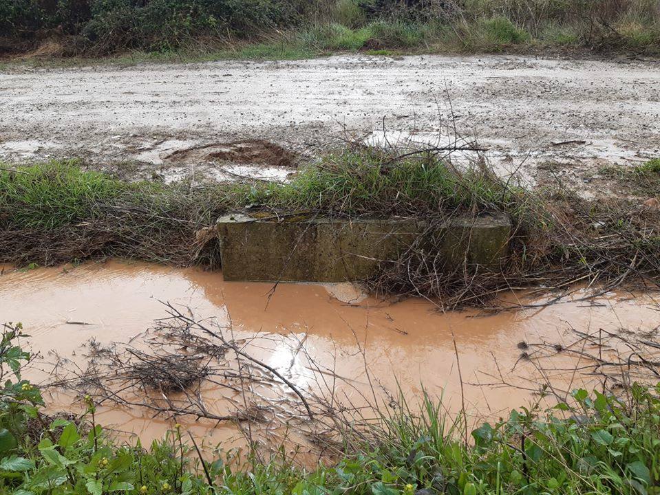 Fotos: La lluvia provoca inundaciones en el regadío de Corera