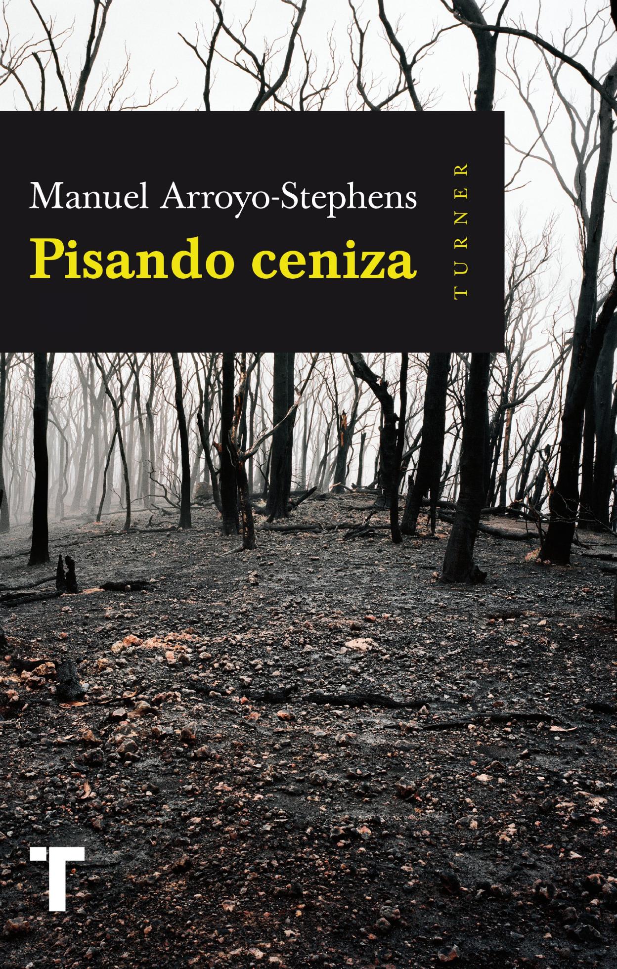 Pisando ceniza, de Manuel Arroyo-Stephens. 