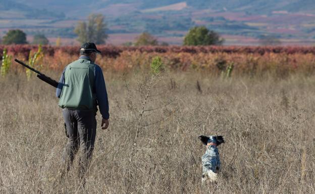 El Gobierno autoriza la caza durante el estado de alarma pero solo a guardas forestales y de coto