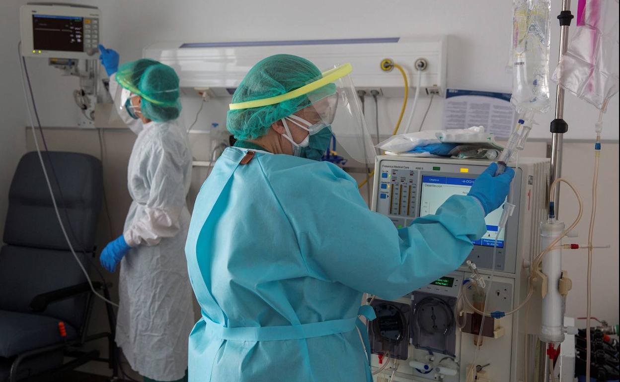 La sanidad riojana, cofrade de honor de la Cofradía de San Bernabé