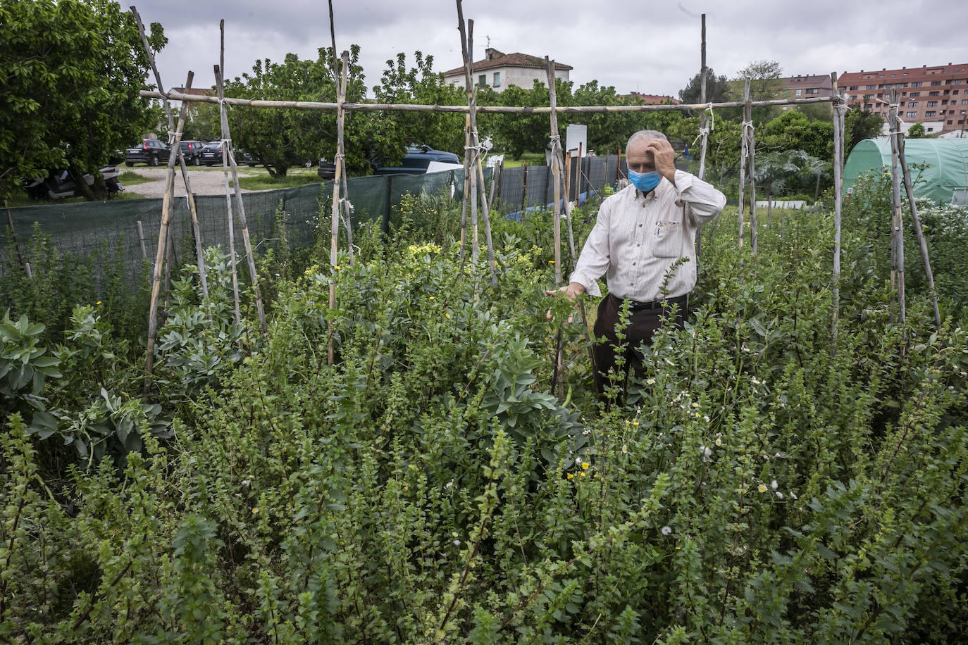 En Logroño, así se vivía este viernes la vuelta al cuidado de la tierra