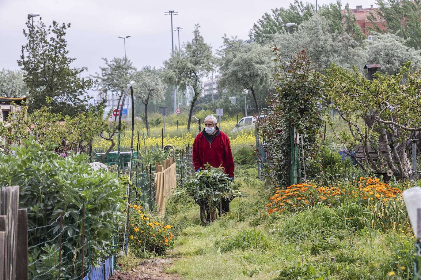 En Logroño, así se vivía este viernes la vuelta al cuidado de la tierra