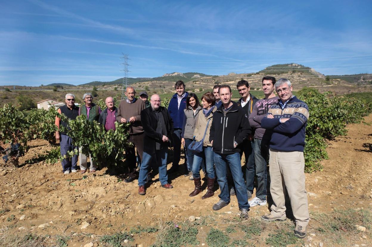 Protesta del 2012 de vecinos y representantes de colectivos de Haro contra las líneas eléctricas sobre las fincas de viñedo. 