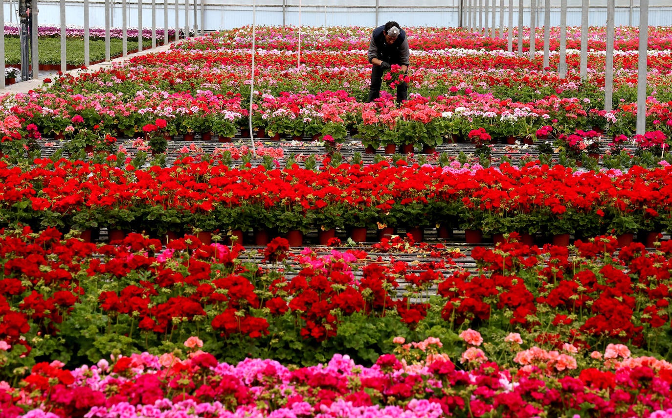 El regreso. Al final, la Administración atendió las demandas de los agricultores no profesionales para poder cultivar sus huertas 