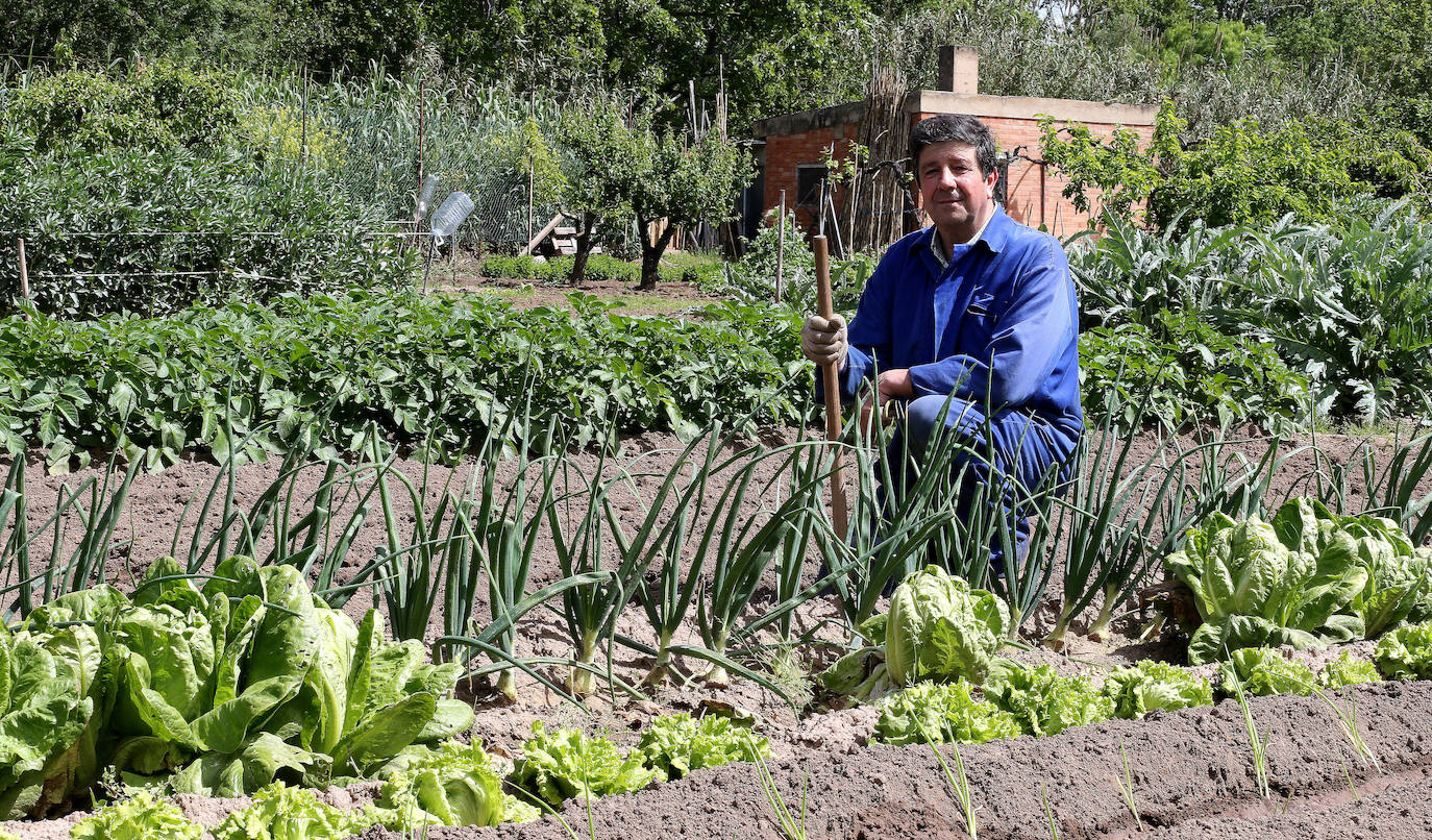 El regreso. Al final, la Administración atendió las demandas de los agricultores no profesionales para poder cultivar sus huertas 