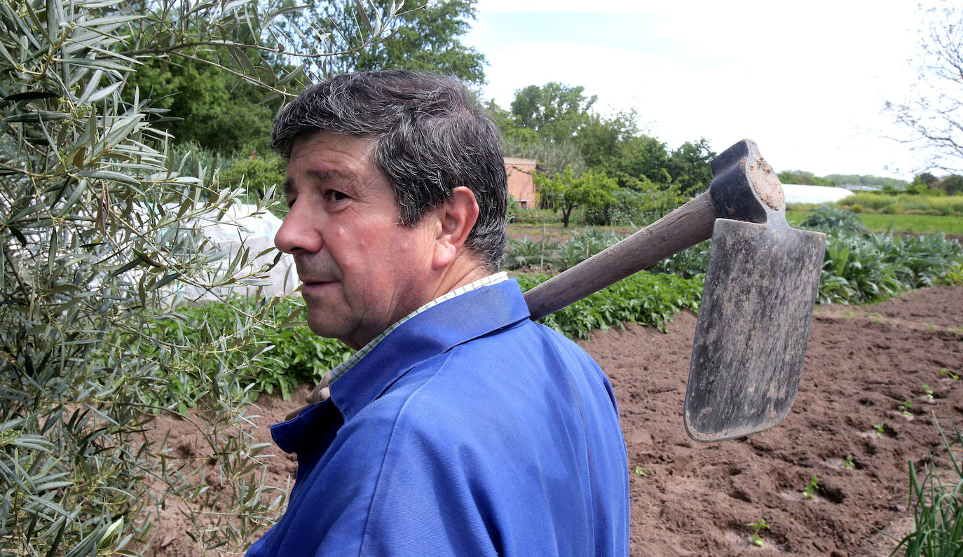 El regreso. Al final, la Administración atendió las demandas de los agricultores no profesionales para poder cultivar sus huertas 