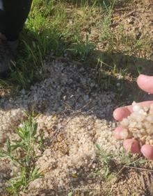 Imagen secundaria 2 - El granizo hace estragos en la comarca de Haro