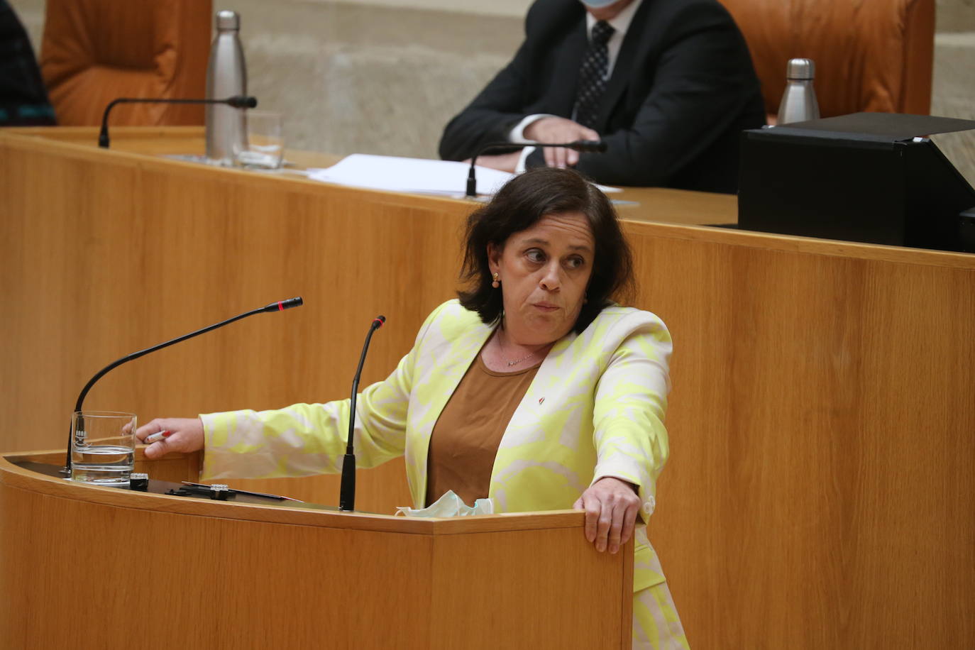 Fotos: La sesión de mayo del Parlamento riojano, en imágenes