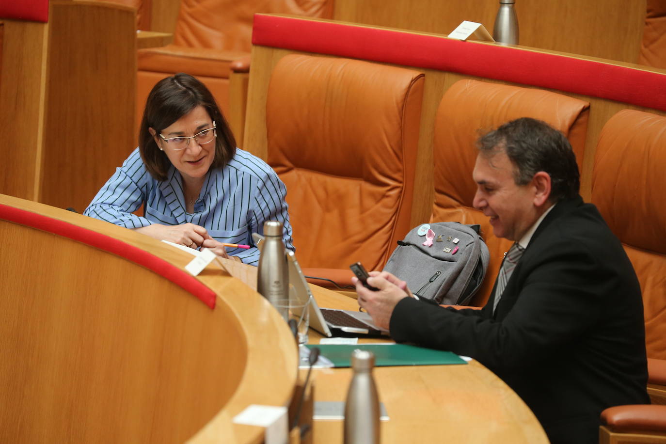 Fotos: La sesión de mayo del Parlamento riojano, en imágenes