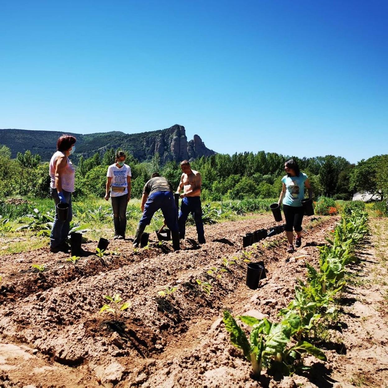 El Colletero revitaliza el suelo agrícola