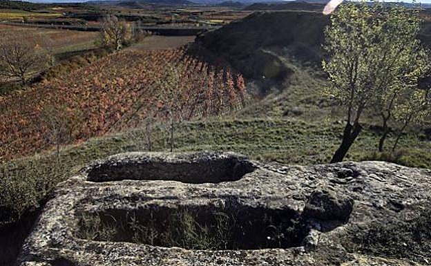 Lagares próximos a San Vicente de la Sonsierra.