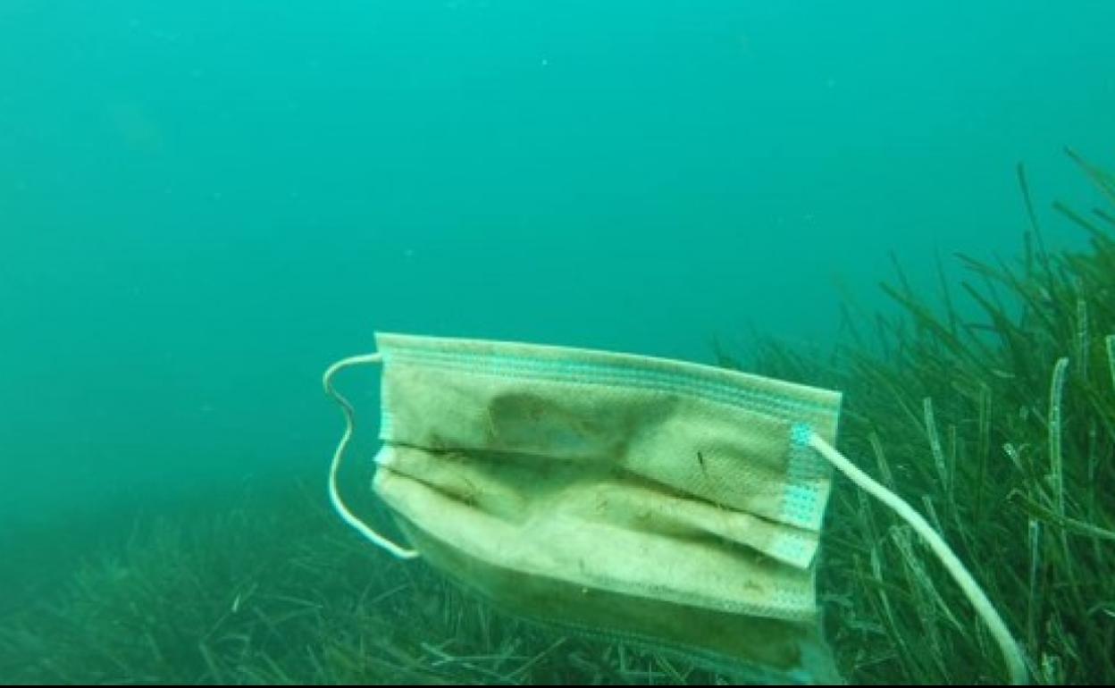 Una mascarilla quirúrgica en el fondo del mar.