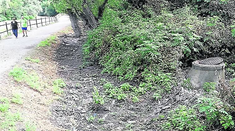 El río Iregua sufre seis vertidos en medio año