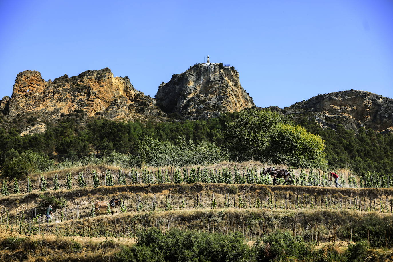 Los riscos de Bilibio destacan como el rincón favorito de Ana Ibáñez en La Rioja por sus vistas y por los momentos que allí ha vivido: entre otros, las batallas del vino