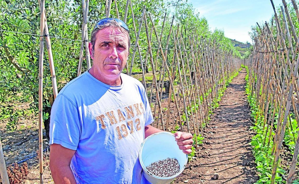 Jaime Pastor Pérez en una finca en la que cultiva alubias 'villarijas'. 